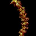 Img.VTax1671.ExN.Img9