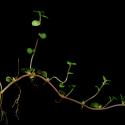 Img.VTax1707.ExN.Img6