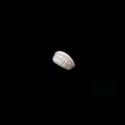 Img.VTax1728.ExN.Img8