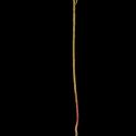 Img.VTax1738.ExN.Img1