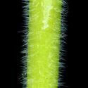 Img.VTax1764.ExN.Img12