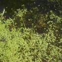 Img.VTax1771.ExN.Img2