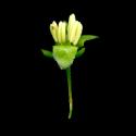 Img.VTax1806.ExN.Img7