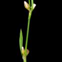 Img.VTax1823.ExN.Img9
