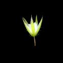 Img.VTax1888.ExN.Img6
