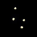 Img.VTax1973.ExN.Img4