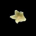 Img.VTax1974.ExN.Img7