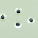 Img.VTax1974.ExN.Img9