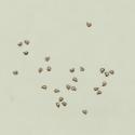 Img.VTax1983.ExN.Img4