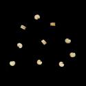 Img.VTax1999.ExN.Img2
