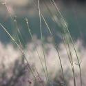 Img.VTax2001.ExN.Img2