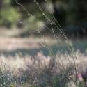 Img.VTax2001.ExN.Img3