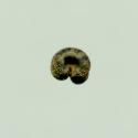 Img.VTax2016.ExN.Img8