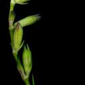Img.VTax2022.ExN.Img8