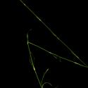 Img.VTax2039.ExN.Img8