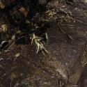 Img.VTax2191.ExN.Img7
