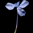 Img.VTax2202.ExN.Img6