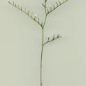 Img.VTax2204.ExN.Img8
