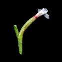 Img.VTax2204.ExN.Img9