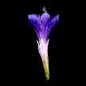 Img.VTax2205.ExN.Img7
