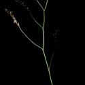 Img.VTax2212.ExN.Img6