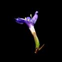 Img.VTax2216.ExN.Img6