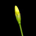 Img.VTax2253.ExN.Img6