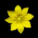 Img.VTax2256.ExN.Img9