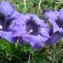 Img.VTax2279.ExN.Img3
