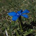 Img.VTax2280.ExN.Img9