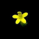 Img.VTax2328.ExN.Img10