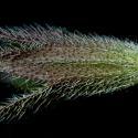 Img.VTax2346.ExN.Img7