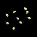 Img.VTax2369.ExN.Img9