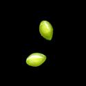 Img.VTax2371.ExN.Img9