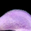 Img.VTax2419.ExN.Img9