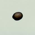 Img.VTax2535.ExN.Img19