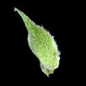 Img.VTax2543.ExN.Img6