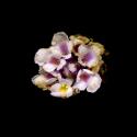Img.VTax2543.ExN.Img9