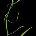 Img.VTax2606.ExN.Img10