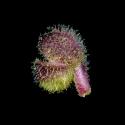 Img.VTax2606.ExN.Img17