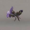 Img.VTax2627.ExN.Img5