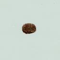 Img.VTax2640.ExN.Img1