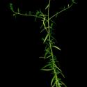 Img.VTax2706.ExN.Img9
