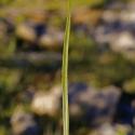Img.VTax2794.ExN.Img4