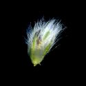 Img.VTax2800.ExN.Img9