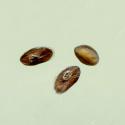 Img.VTax2807.ExN.Img8