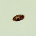 Img.VTax2807.ExN.Img9