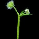 Img.VTax2844.ExN.Img8