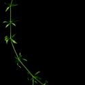 Img.VTax2846.ExN.Img4