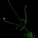 Img.VTax2906.ExN.Img16